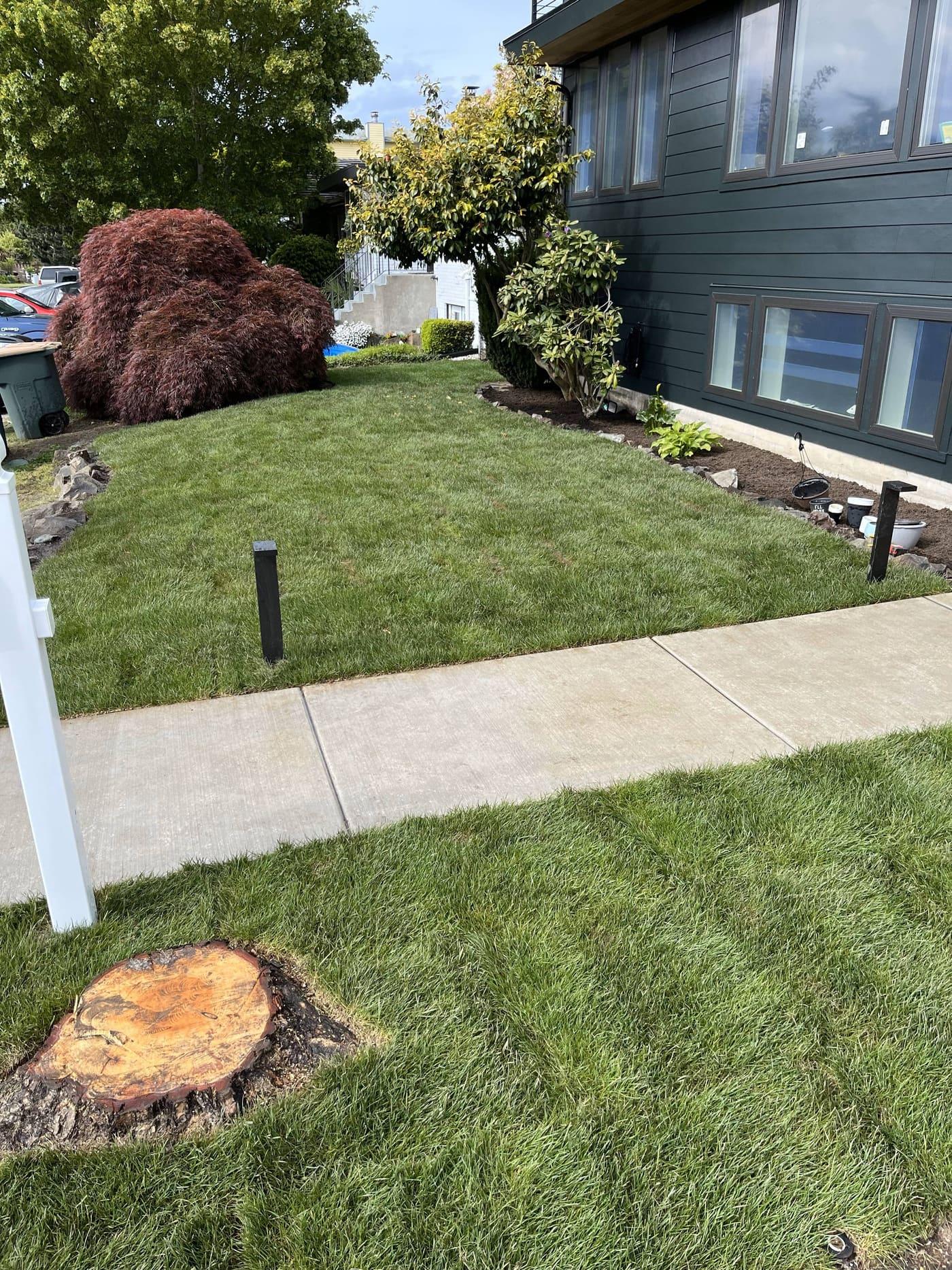 Lawn Maintenance by Blue Landscaping Services